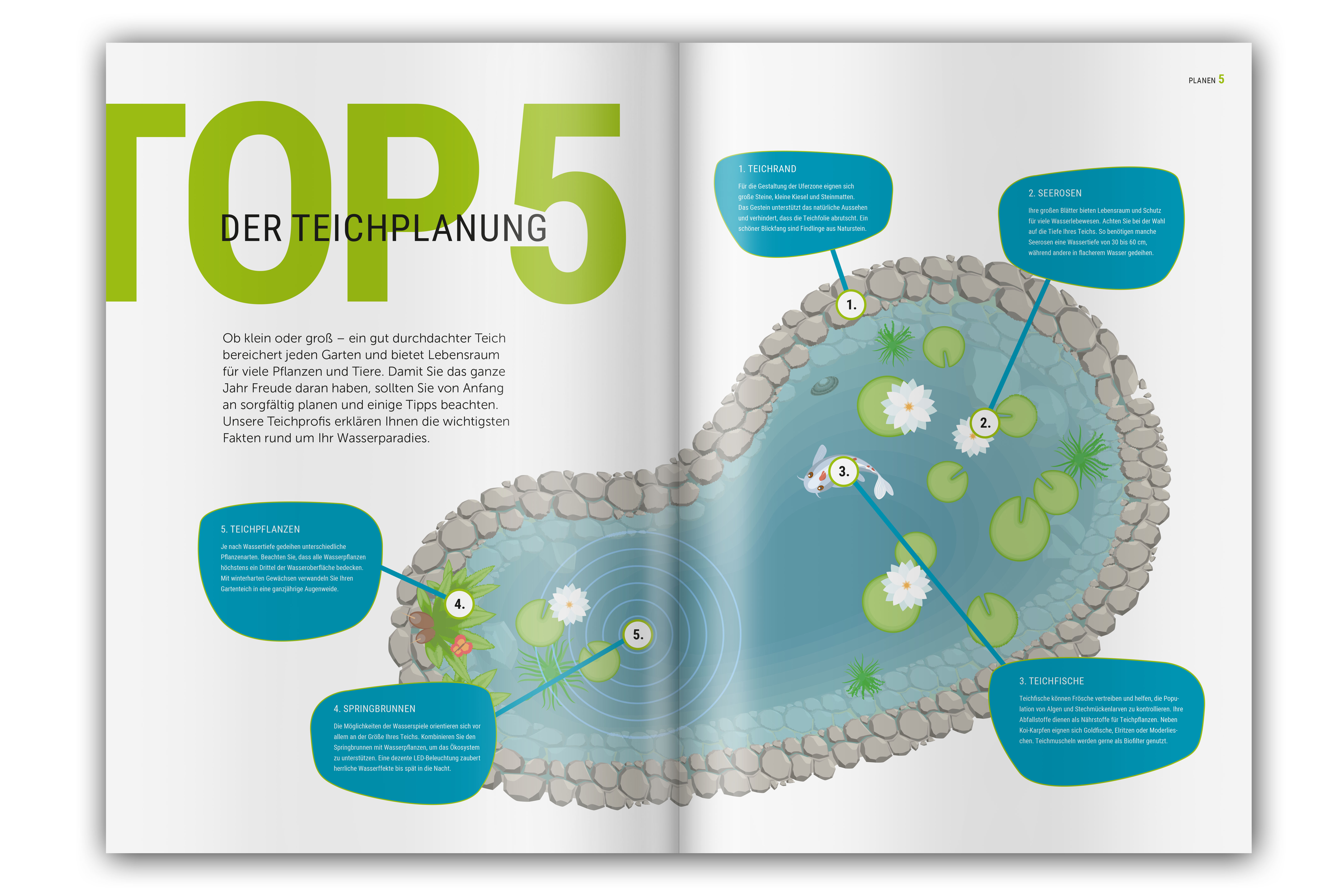 Gestaltung von Infografiken für Kundenjournal aus dem Bereich Gartenteiche